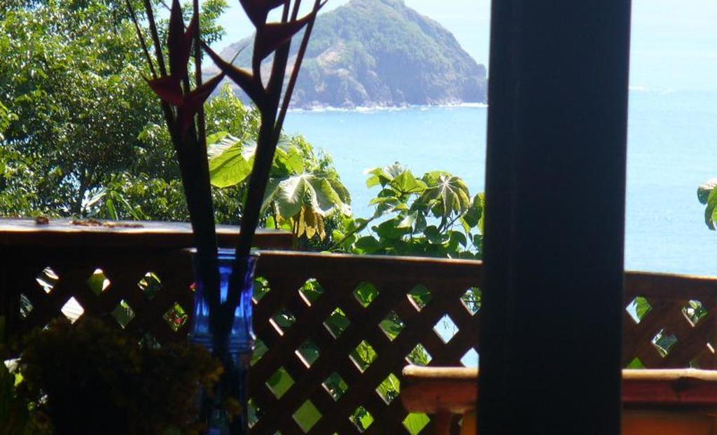 Jungle Villa Manuel Antonio Exterior photo